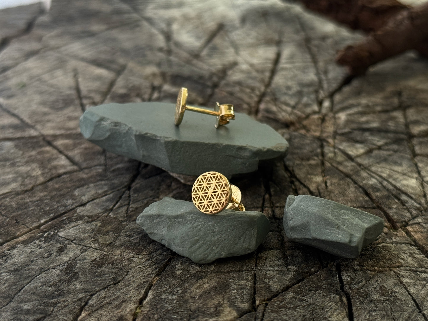 Stud earrings with the motif of the flower of life made of silver 